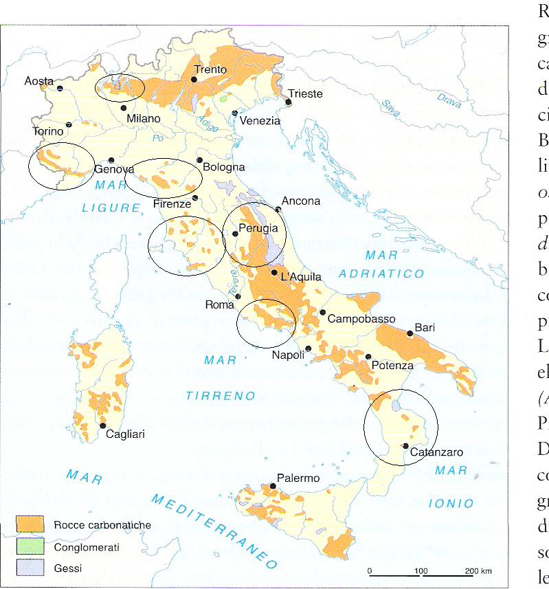 Aiuto per un progetto sui Cochlostoma